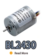 BL2430i, BL2430, B2430M, 24mm diâmetro brushless dc motor elétrico com rotor interno.webp